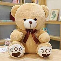 Teddy Bear Medium Size