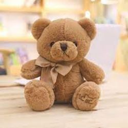 Teddy Bear Regular Size