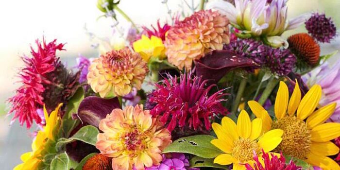 flowers, birthday flowers, birthday flower delivery, send birthday flowers