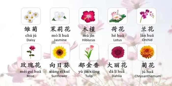 flowers, china, flower delivery china, send flowers china, china flower delivery, flowers to china