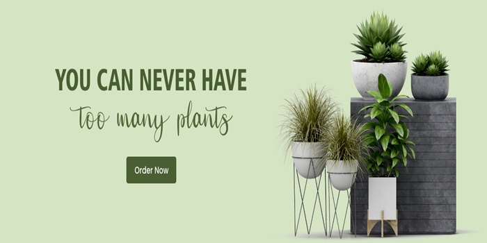 benin, plants, send plants benin, benin plant delivery, plant delivery benin