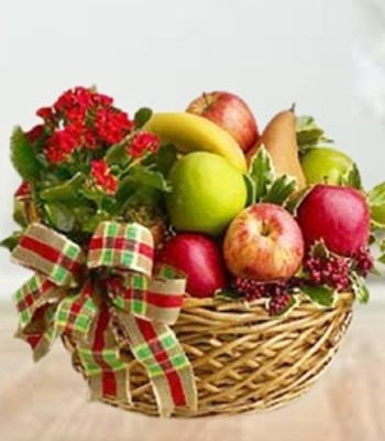 Fruit Basket
