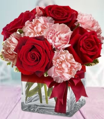 Rose and Carnation in Cube Vase & Ribbon - Red & Pink Color Flowers
