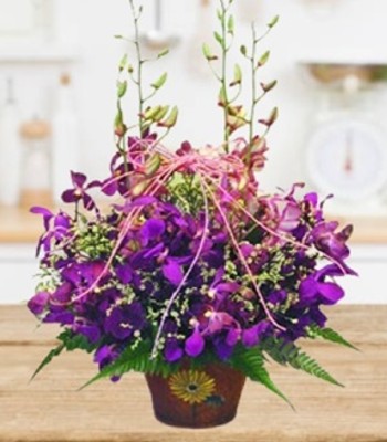 Exotic Orchids with Filers and Foliage in Basket