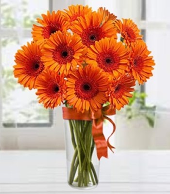 Gerbera Daisies Bouquet - 12 Stem Orange Gerbera Daisies
