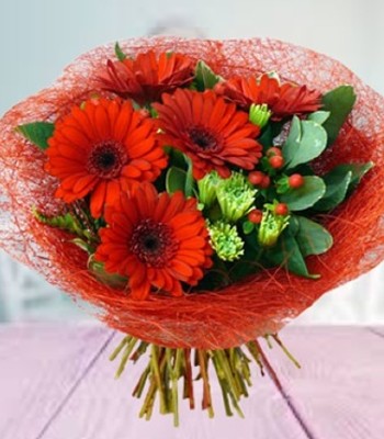 Crimson Delight - Bright Red Gerberas Bouquet