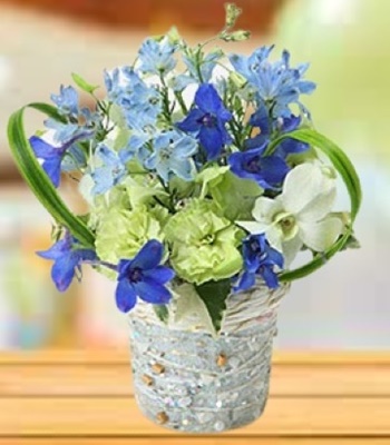 Delphiniums Carnations Dendrobium Orchids and Phalaenopsis Orchids
