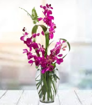 Purple Dendrobium Orchid in Clear Glass Vase