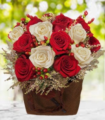 Rose Flower Bouquet - 18 Red and White Roses with Fillers