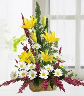 Sympathy Arrangement - Lilies Daisy Mums Heather Salal and Foxtail Fern