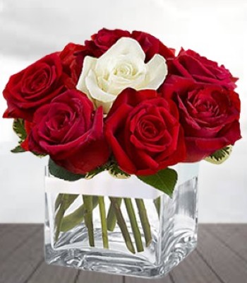 6 White Rose with Red Roses in Cube Vase