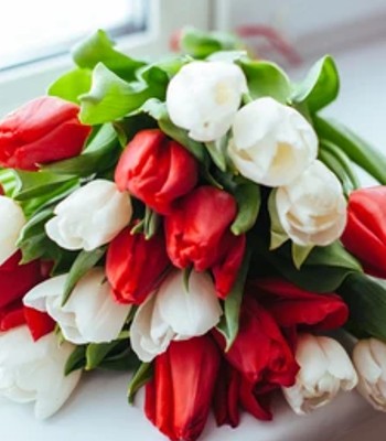 Red and White Tulip Bouquet - Hand-Tied