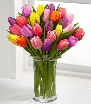 Mix Color Tulip Bouquet - 12 Stems Valentine's Day Tulip Flowers