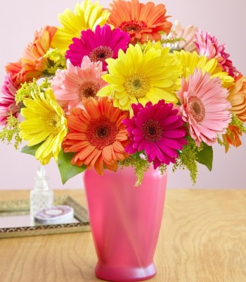 Gerbera Daisy Bouquet