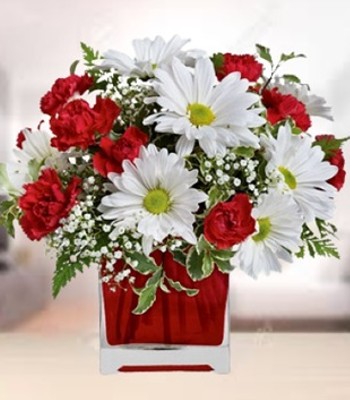 Make Her Day - Carnations and Daisies Bouquet in Red Cube Vase