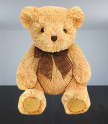 Sweet Soft Teddy Bear
