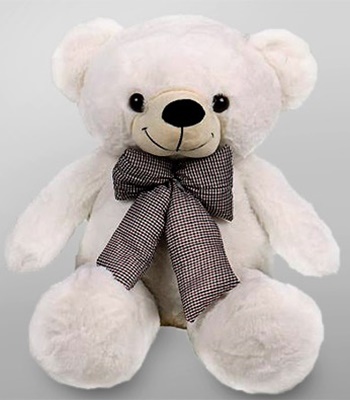 Cuddly Teddy - 60cms
