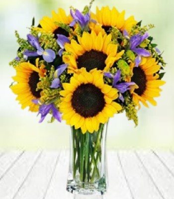 Sunflower Bouquet With Purple Fillers - Free Tall Glass Vase