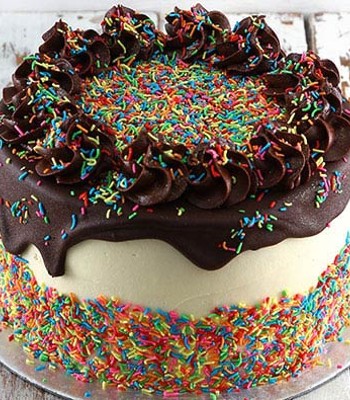 Confetti Birthday Cake - 91.68oz/ 2.5kg