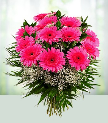 Pink Gerbera Bouquet With Fillers and Greens - 12 Stems