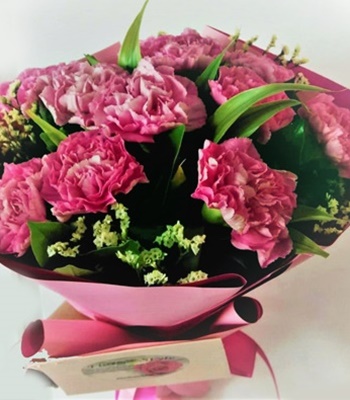 Pink Carnation Bouquet - 12 Carnations