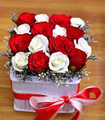 Short Stem Rose in Box - 20 Stem Red & White Color Roses in Box