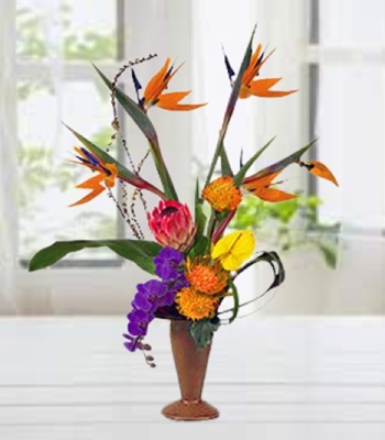 Mix Flowers - Orchids Bird of Paradise and Anthuriums