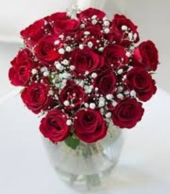 Red Roses - 24 Stems