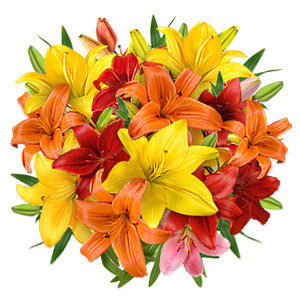 Asiatic Lily Bouquet with Free Vase - Mix Color Assorted Lilies