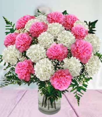 Carnation Flowers - Pink & White Carnation Bouquet