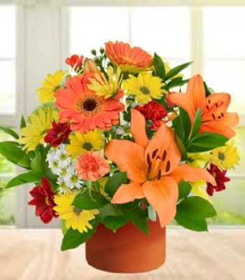 Mix Flower Posy Box - Gerbera Daisy, Lily and Carnations