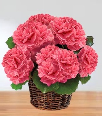 Carnation Flower Basket