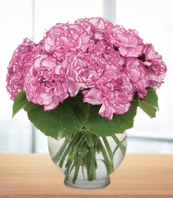 Pink Carnation Flower Bouquet With Greenery - Free Glass Vase