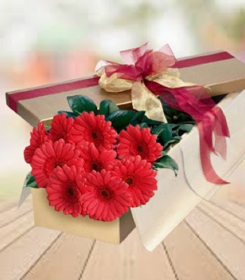 Gerbera Daisy Flower Box