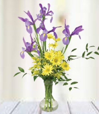 Flowers For Her - Iris, Daisy, Poms Solidago Ruscus in Ming Vase