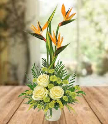 Gerber Daisy with Red Carnations