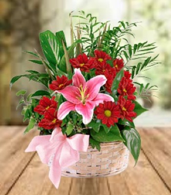 Princess - Pink Lily and Spray Chrysanthemums in Basket