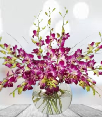 Dozen Purple Thailand Orchids in Fancy Glass Vase
