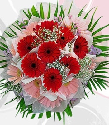 Thinking of You - 15 Large Gerberas Statice and Baby's Breath
