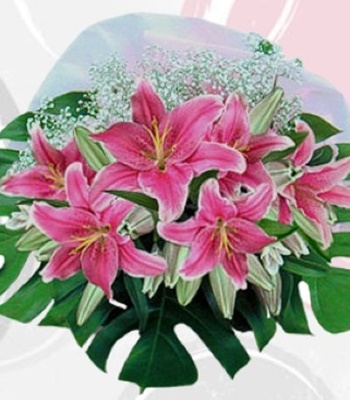 Pink Champagne Lilies