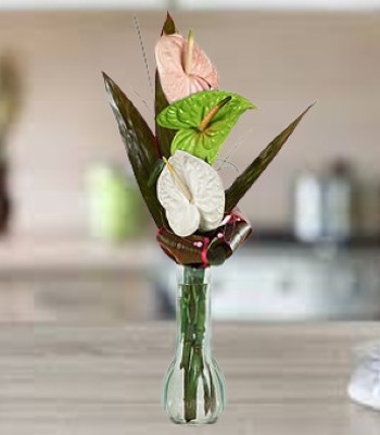 3 Anthuriums in Clear Vase