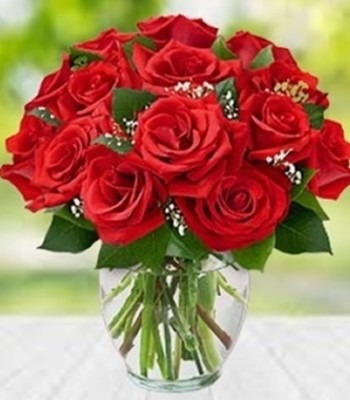 Red Roses - Dozen Medium Stem Red Roses in Vase