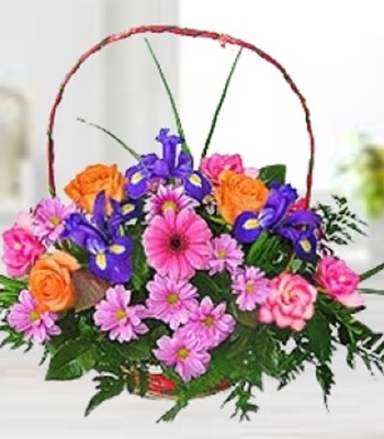 Mix Flower Basket - Roses Gerberas Iris Chrysanthemums