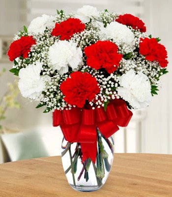 Carnation Flowers - 10 Red and White Carnation Bouquet