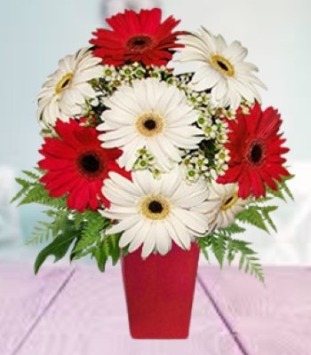 Gerbera Daisy Flower Bouquet - Red and White Gerbera Daisies in Vase