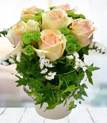 Sweet Ivy - Champagne Hued Roses with Emerald Green Ivy Leaves