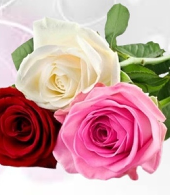 3 Mix Color Rose Bouquet - Valentine's Day Special