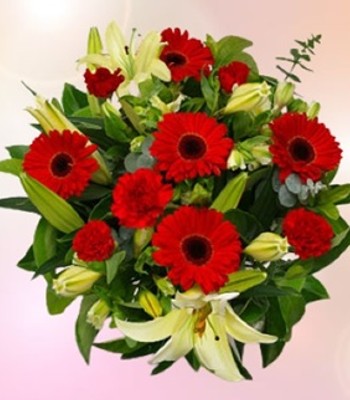 Gerber Daisy with Red Carnations