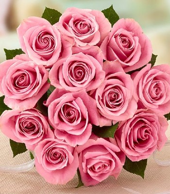 Charming and Exquisite - 18 Peach Roses Hand-Tied