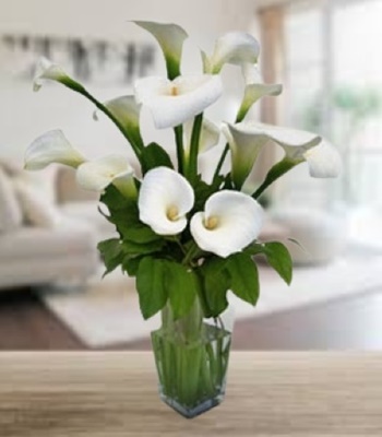 Cala Lily Flower Bouquet - Free Vase